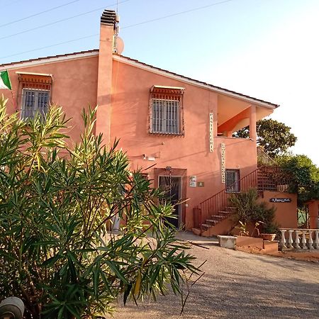 Poggio Agli Ulivi Villa Frascati Eksteriør billede
