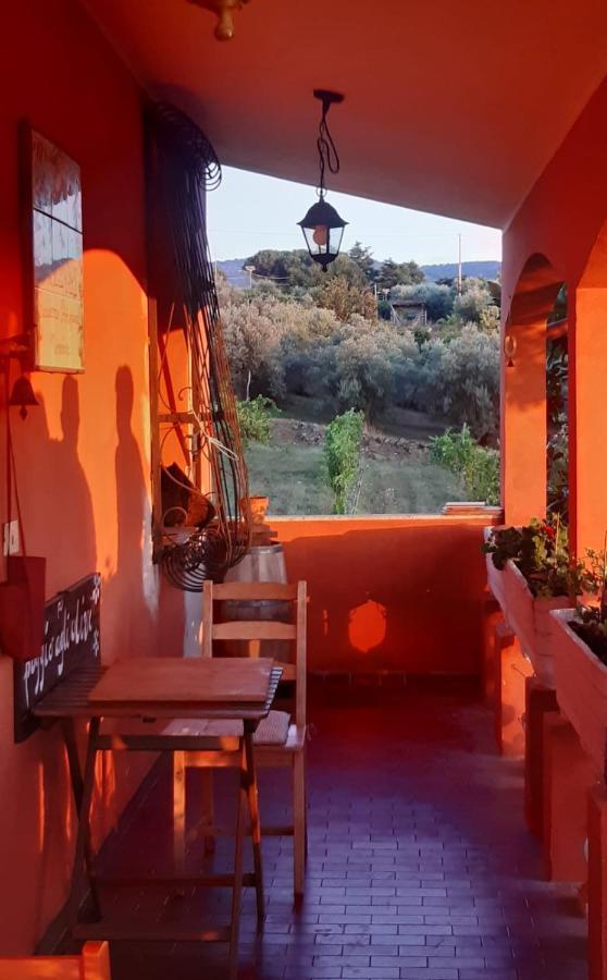 Poggio Agli Ulivi Villa Frascati Eksteriør billede