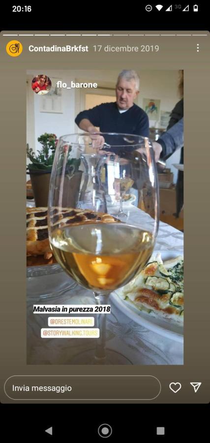 Poggio Agli Ulivi Villa Frascati Eksteriør billede
