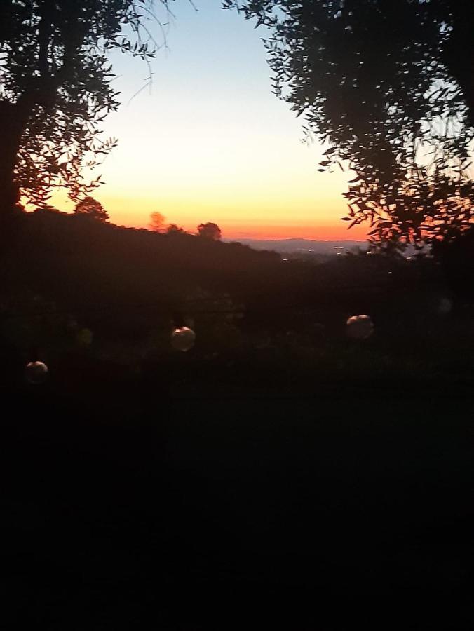 Poggio Agli Ulivi Villa Frascati Eksteriør billede