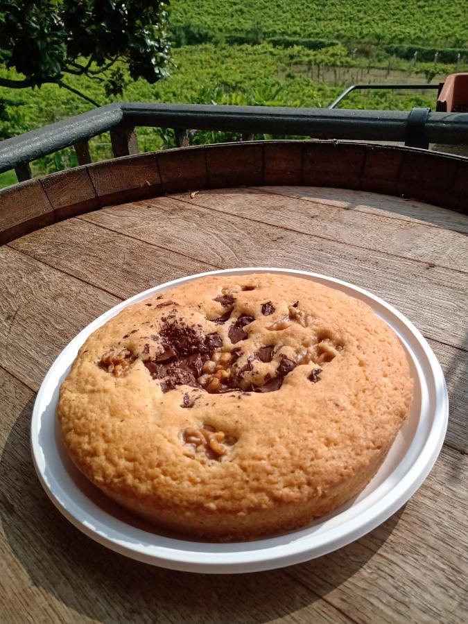 Poggio Agli Ulivi Villa Frascati Eksteriør billede