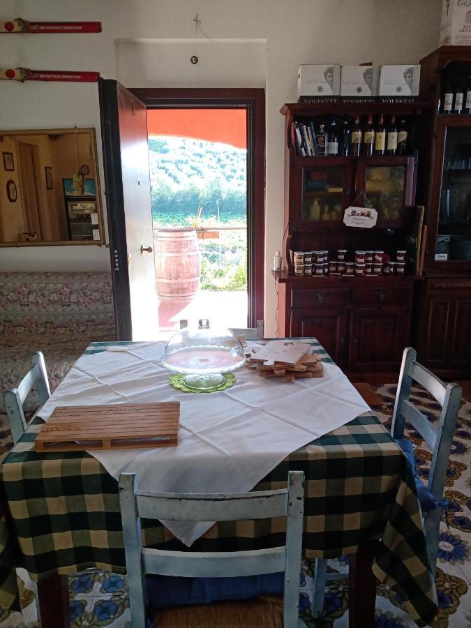 Poggio Agli Ulivi Villa Frascati Eksteriør billede