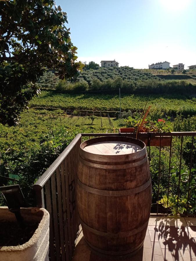 Poggio Agli Ulivi Villa Frascati Eksteriør billede