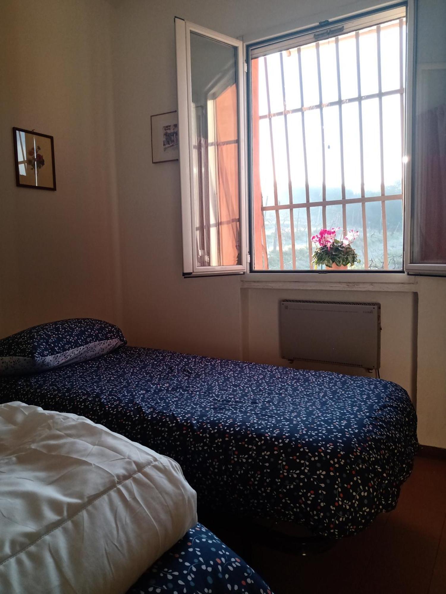 Poggio Agli Ulivi Villa Frascati Eksteriør billede