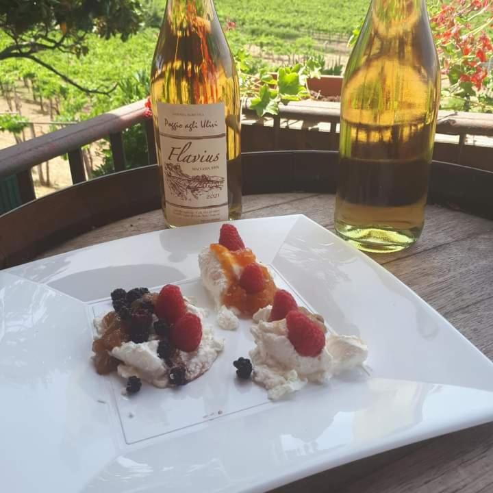 Poggio Agli Ulivi Villa Frascati Eksteriør billede