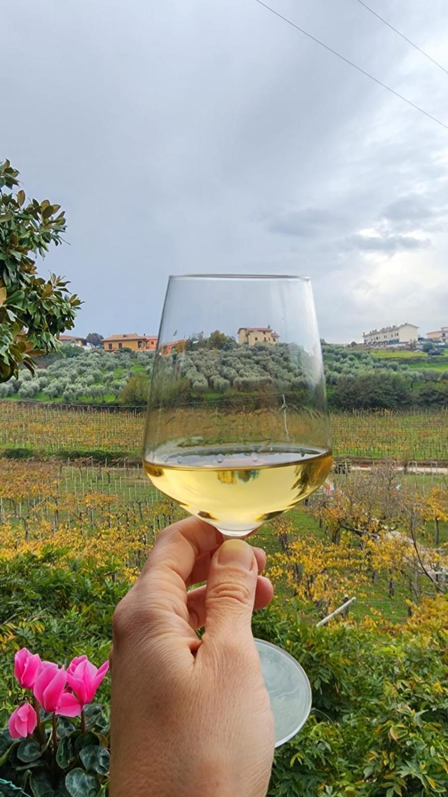 Poggio Agli Ulivi Villa Frascati Eksteriør billede