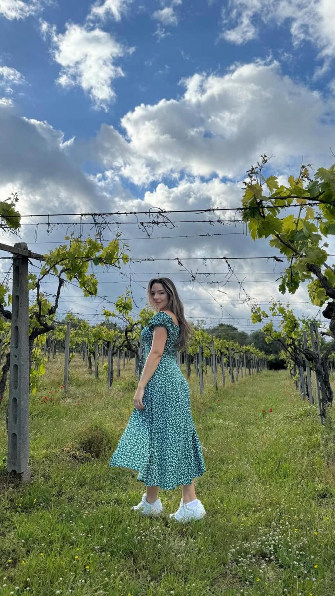 Poggio Agli Ulivi Villa Frascati Eksteriør billede